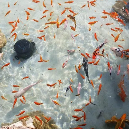 Omega Kefalonia Villa